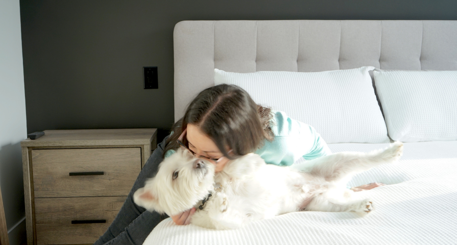 Utiliser des produits écologiques pour la santé de nos animaux