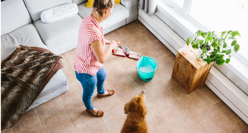 Comment bien nettoyer son plancher avec un chien
