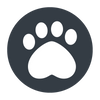 non testé sur les animaux